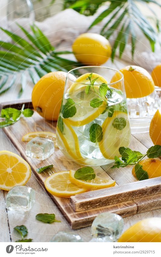 Homemade refreshing lemonade Fruit Beverage Lemonade Juice Summer Leaf Fresh Natural Yellow Green White Mint orange citrus glass Palma de Majorca Tropical
