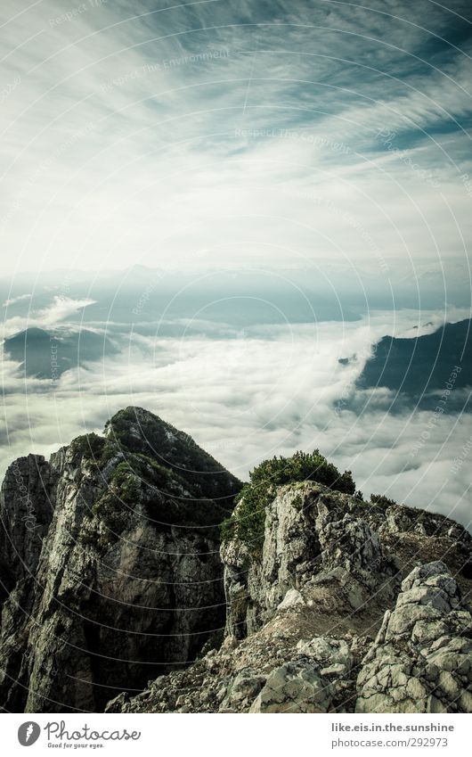 sea of clouds Environment Nature Landscape Plant Animal Elements Sky Clouds Horizon Summer Autumn Bushes Hill Rock Alps Mountain Peak Far-off places