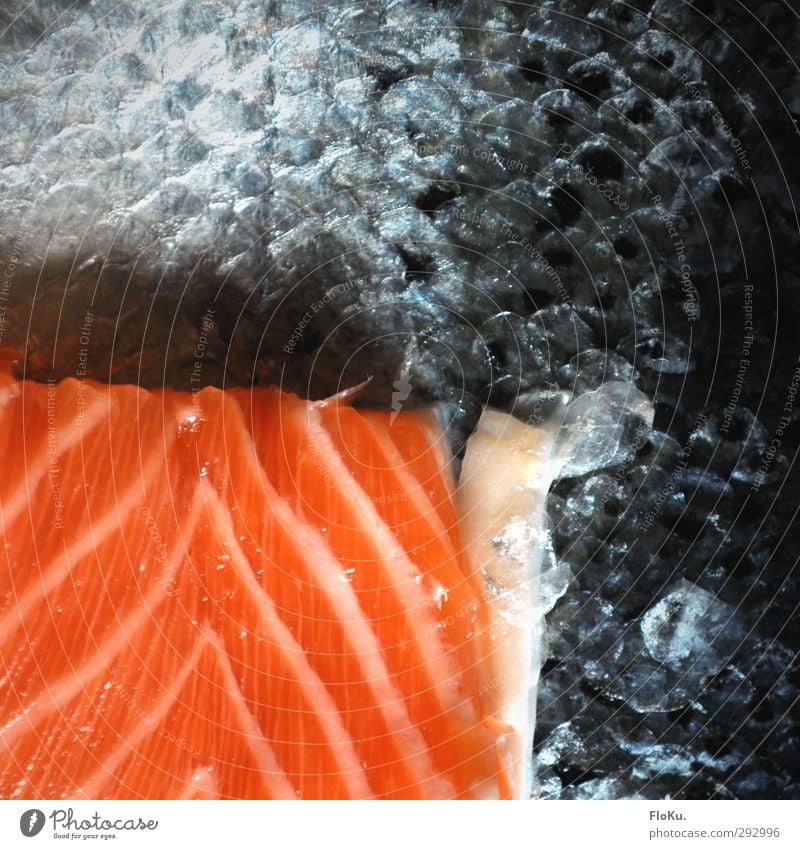Sushi Factory Food Fish Nutrition Lunch Asian Food Healthy Eating Dead animal Orange Red Salmon filet Scales Fish dish scaly Remainder Flashy Lean Cooking