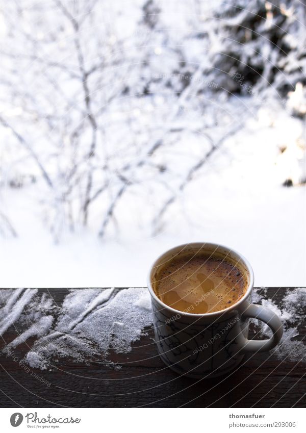 Something warm is what man needs. Food Hot drink Coffee Cup Vacation & Travel Flat (apartment) Garden Ice Frost Snow Park Balcony Terrace Drinking Fragrance
