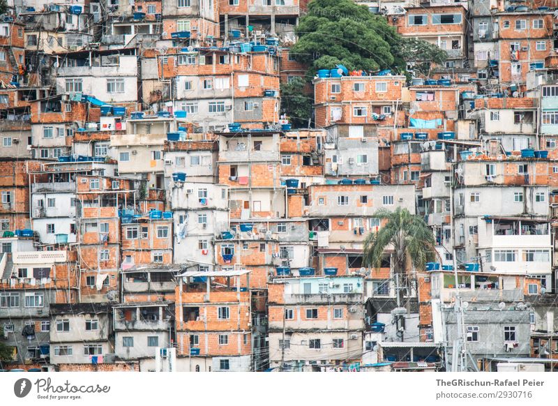 favelas Town Blue Brown Green Black Silver White House (Residential Structure) Manmade structures Poverty Window Living or residing Palm tree Brazil