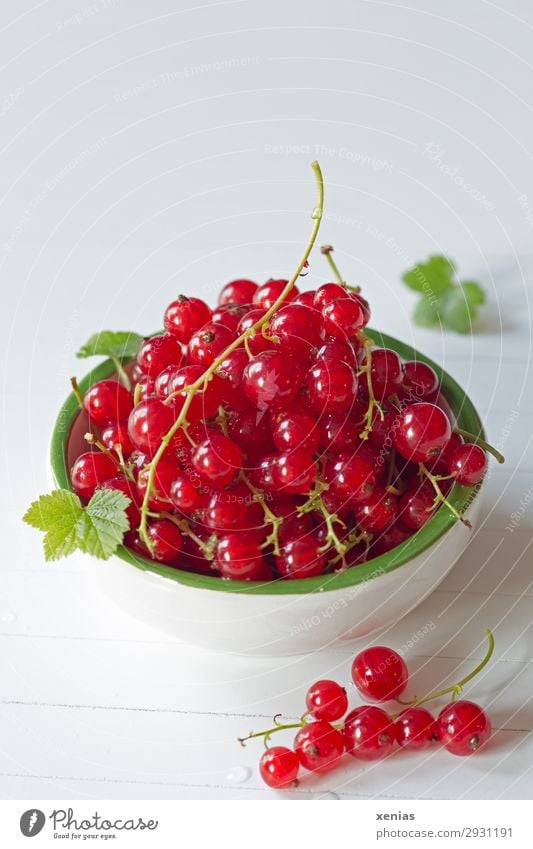 Red currants in white-green skin Fruit Redcurrant Organic produce Vegetarian diet Diet Finger food Bowl Healthy Eating To enjoy Fresh Delicious Round Juicy Sour