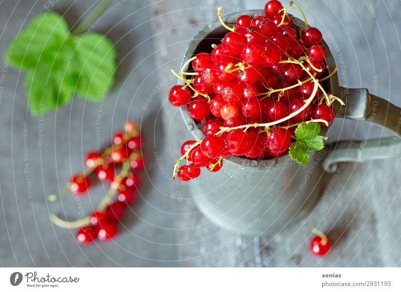 Fresh currants in a cup Fruit Redcurrant Nutrition Organic produce Vegetarian diet Diet Mug Delicious Sour Sweet Green zinc cup Water jug Food photograph