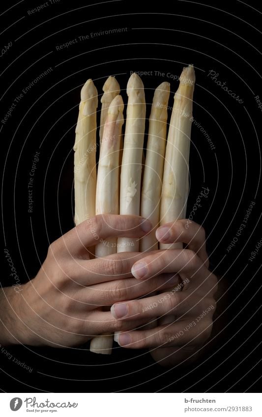 White asparagus Food Vegetable Nutrition Organic produce Vegetarian diet Healthy Eating Gastronomy Man Adults Hand Fingers Work and employment Select To hold on