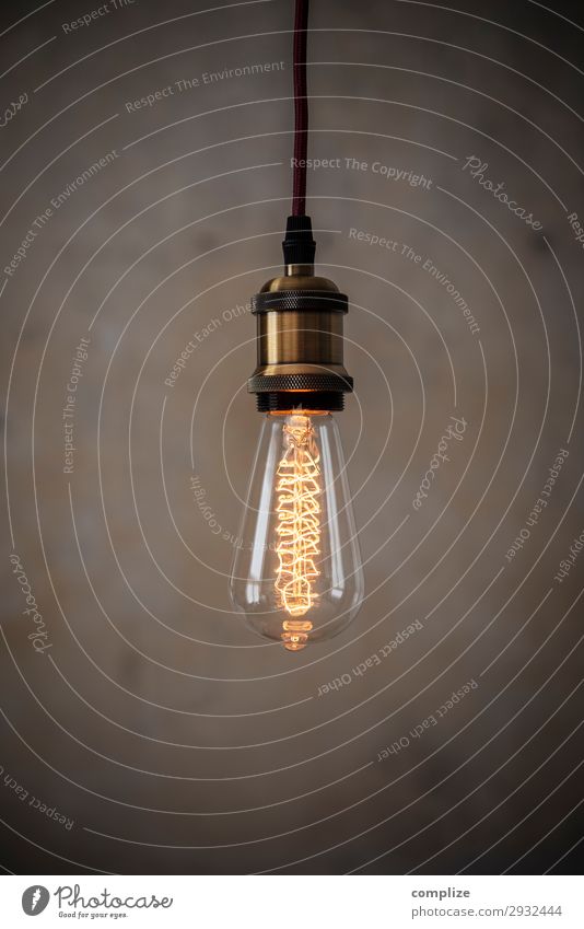 Vintage Edison Light Bulb Lifestyle Living or residing Flat (apartment) Redecorate Moving (to change residence) Arrange Interior design Decoration Lamp Room