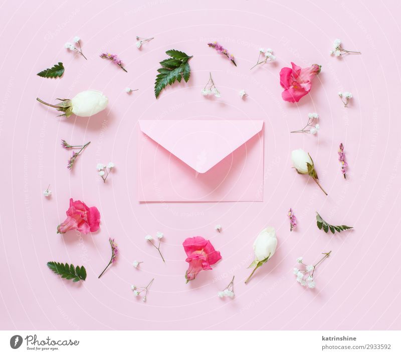 Flowers and envelope on a light pink background Design Decoration Wedding Woman Adults Mother Rose Above Creativity romantic letter Invitation flat lay