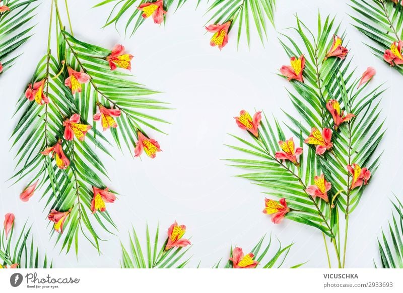 Green tropical palm leaves and exotic flowers on white background, top view. Frame. Flat lay. Copy space for your design green frame flat lay copy space