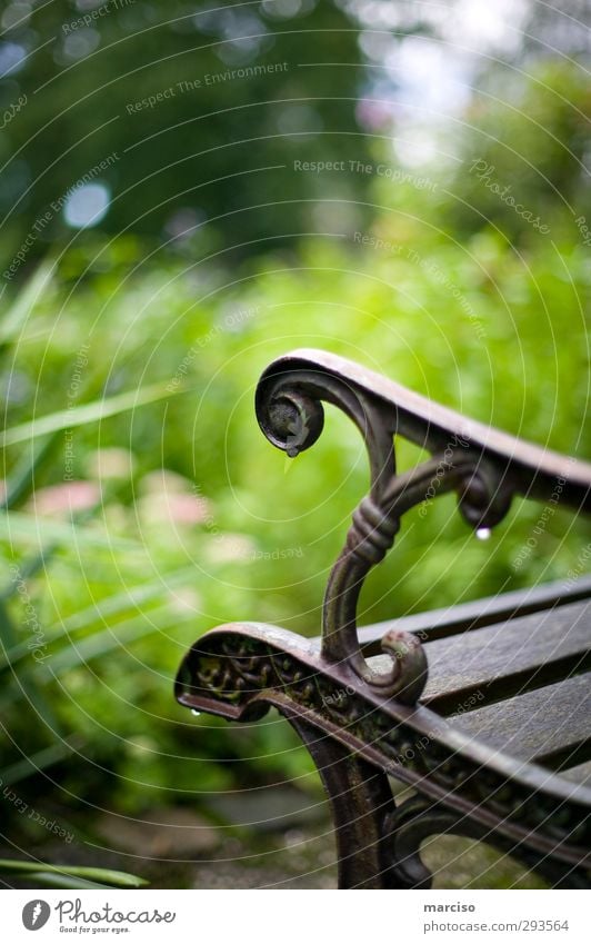 Place of rest Elegant Design Wellness Well-being Contentment Relaxation Calm Meditation Cure Bench Seating Gardening Drops of water Rain To enjoy Sit Wait Wet