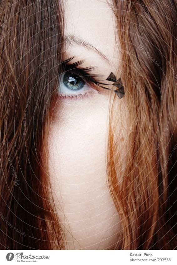 . Feminine Young woman Youth (Young adults) Eyes Brunette Long-haired Observe Looking Esthetic Simple Beautiful Near Soft Blue Gray Green Iris Eyelash Feather