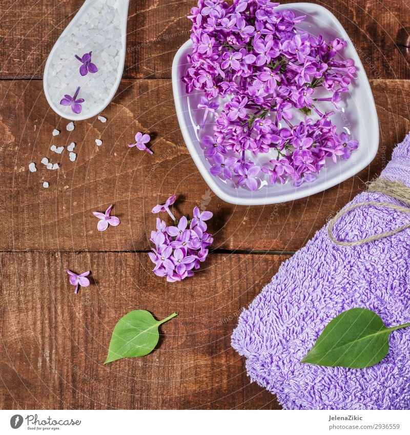 Aromatherapy, wellness and spa with lilac flowers Bowl Lifestyle Beautiful Body Skin Cosmetics Medical treatment Wellness Relaxation Spa Table Nature Flower