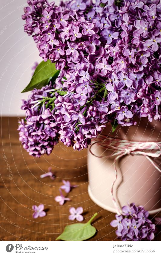 Beautiful bouquet of lilacs Elegant Summer Garden Decoration Feasts & Celebrations Valentine's Day Mother's Day Wedding Birthday Gardening Nature Plant Spring
