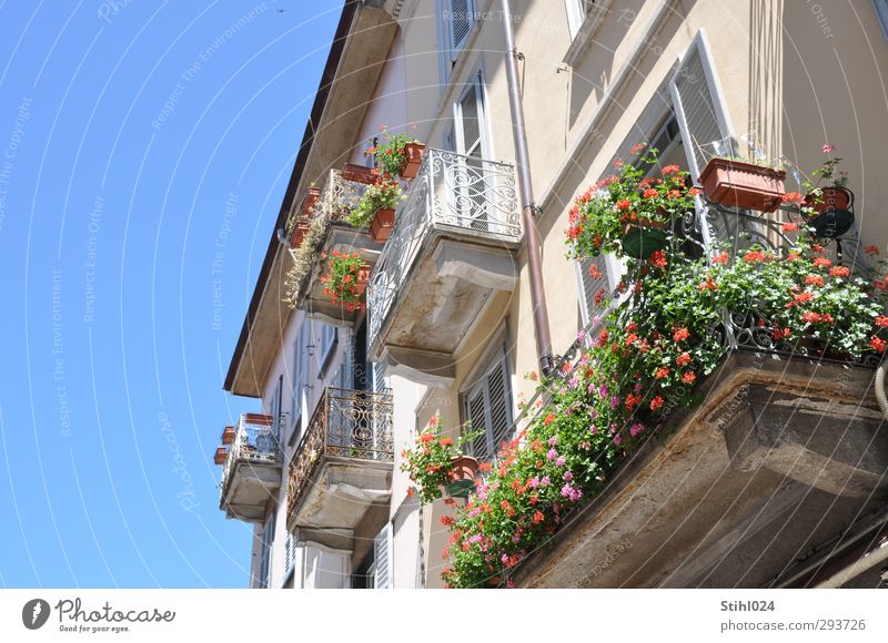 Bella Italia Style Harmonious Summer Flat (apartment) Cloudless sky Como city Italy Town Old town House (Residential Structure) Building Facade Balcony
