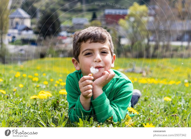 Cute little boy lying down on a field Lifestyle Joy Happy Beautiful Face Leisure and hobbies Playing Vacation & Travel Tourism Summer Sun Mountain Child