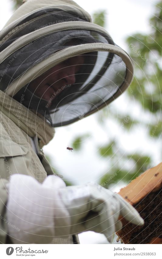 beekeeper beekeeper veil suit bees Human being Masculine 1 30 - 45 years Adults Bee Observe Exceptional Bee-keeper Gloves Protective clothing Testing & Control