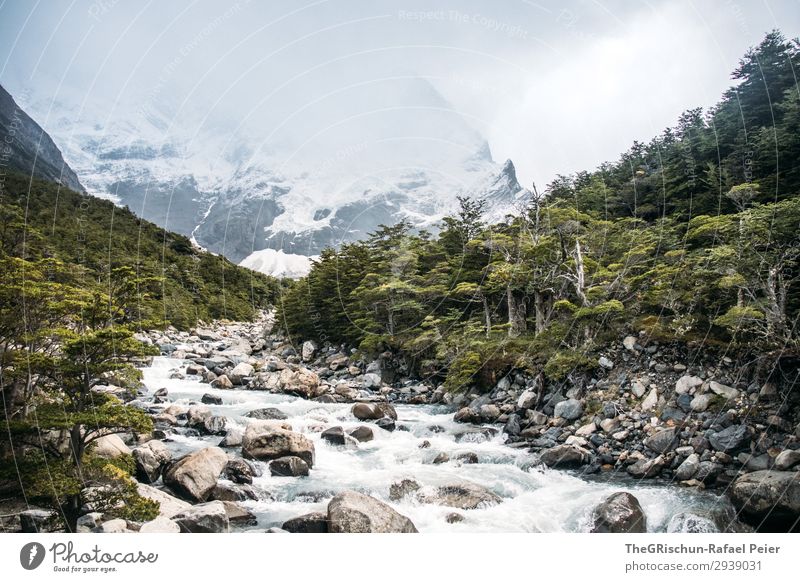 Creek in Torres del Paine NP Environment Nature Landscape Gray Green Brook Stone Mountain Forest Hiking Snow Clouds Water Cold Wind Patagonia Chile Colour photo