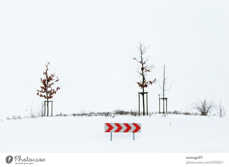 >>>> Fog Tree Bushes Traffic infrastructure Road traffic Road sign Traffic circle Cold Brown Red White Gyroscope central island Winter Snow Shroud of fog