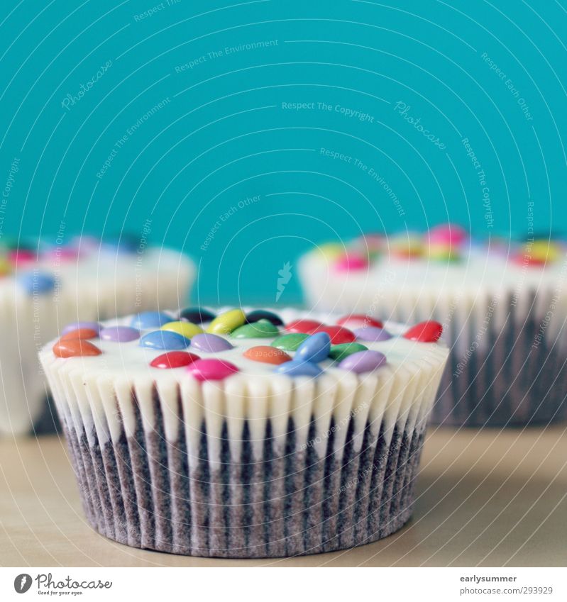 3 cupcakes with colorful Smarties on a table in front of a bright blue wall with depth of field Cupcake Cake Birthday Food Candy Chocolate Nutrition