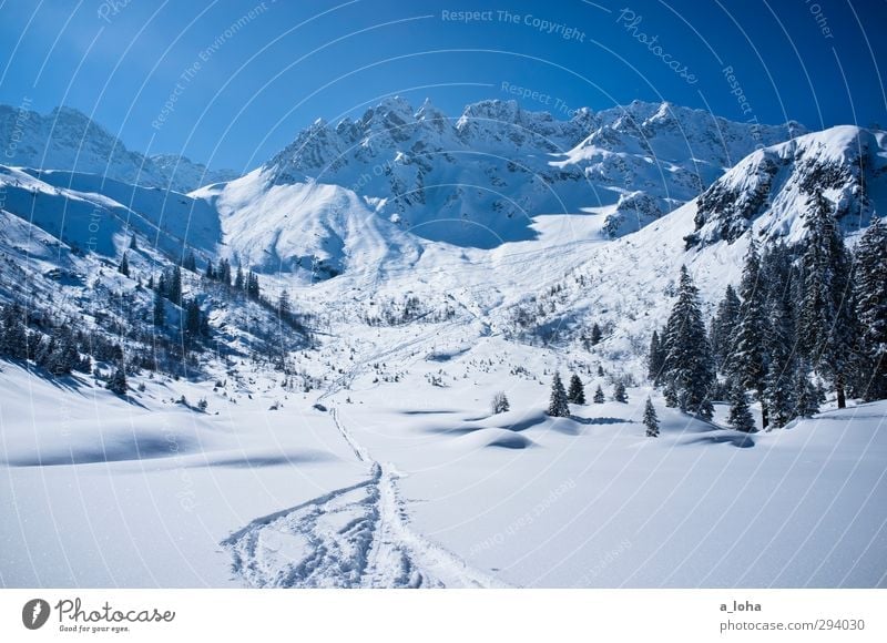 best of you Environment Nature Landscape Elements Sky Cloudless sky Sun Winter Beautiful weather Ice Frost Snow Tree Rock Alps Mountain Snowcapped peak Line