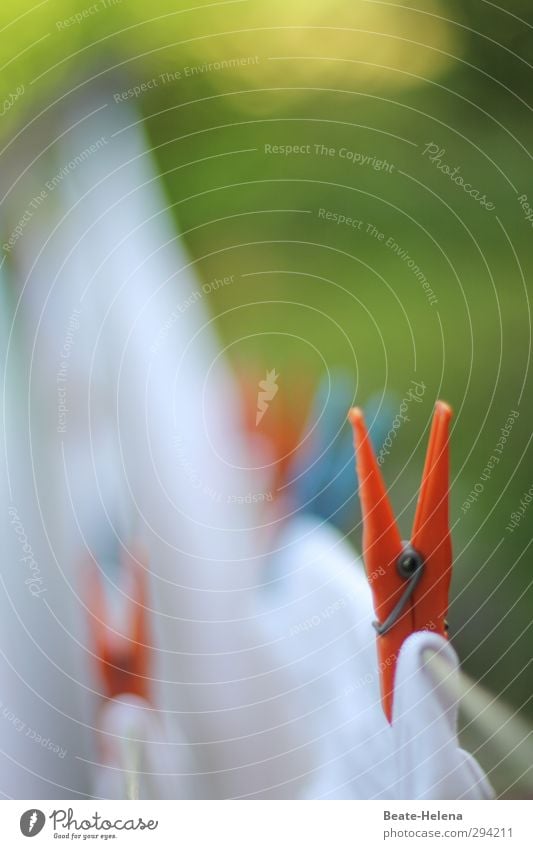 Laundry drying on the rope outside on a sunny day - a Royalty Free Stock  Photo from Photocase