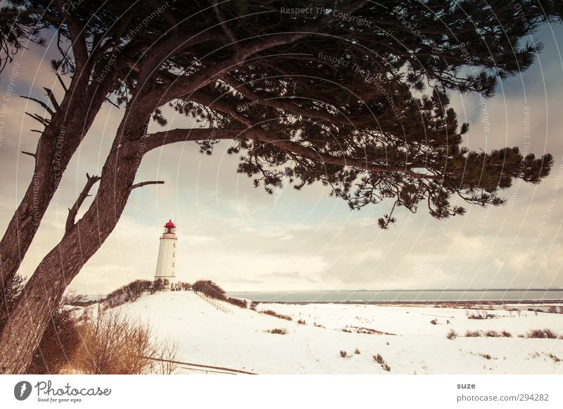 beach guard Ocean Island Winter Snow Environment Nature Landscape Elements Earth Sky Clouds Horizon Climate Weather Beautiful weather Tree Hill Coast Lighthouse