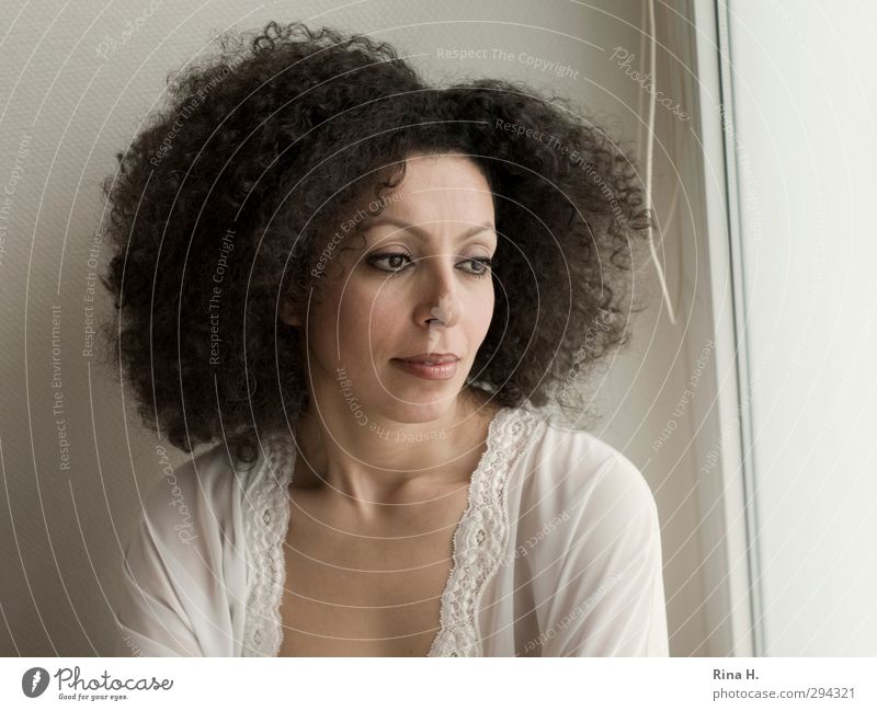 Curly Woman Adults 1 Human being 30 - 45 years Hair and hairstyles Brunette Afro Dream Authentic Bright Beautiful ponder Subdued colour Interior shot