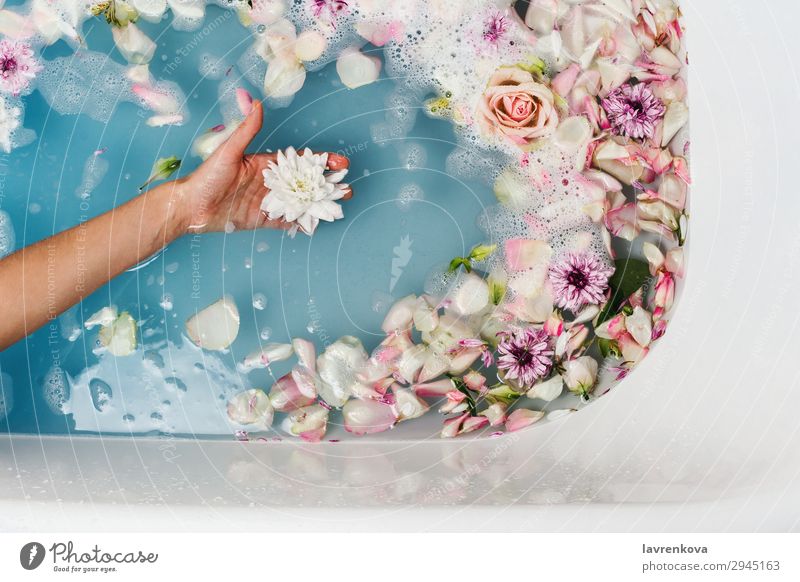 bath with blue water and petals with woman's hand holding flower Aromatic Art Swimming & Bathing Bathroom Bathtub Beauty Photography Blossom Blue Bomb Bouquet