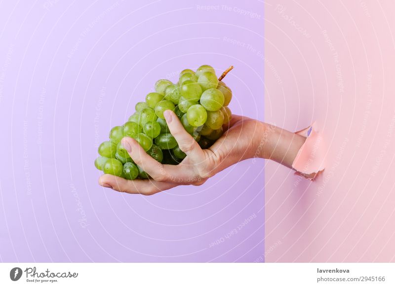 Woman's hand holding ripe green grape Fingers Pastel tone torn paper Manicure Hand Hold Diet Nutrition Delicious agriculture Tasty Raw Eating Mature Sweet