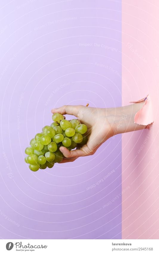 Woman's hand holding ripe green grape Agriculture Delicious Diet Eating Fingers Food Healthy Eating Food photograph Fresh Fruit Green Hand Hold Manicure