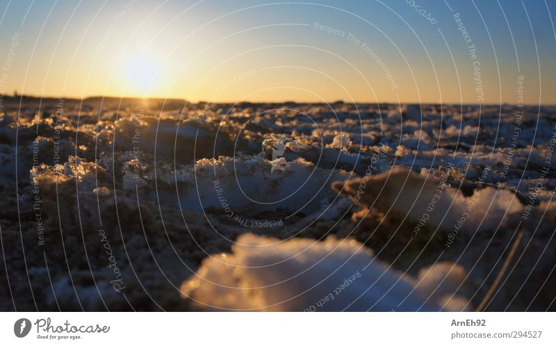 snow + sand = snow Nature Sand Sky Cloudless sky Sun Sunrise Sunset Winter Beautiful weather Snow Beach Baltic Sea Cold Colour photo Exterior shot Detail