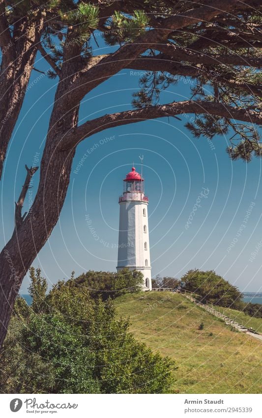 Lighthouse Dornbusch Hiddensee Harmonious Vacation & Travel Tourism Trip Far-off places Summer vacation Island Nature Landscape Cloudless sky Beautiful weather