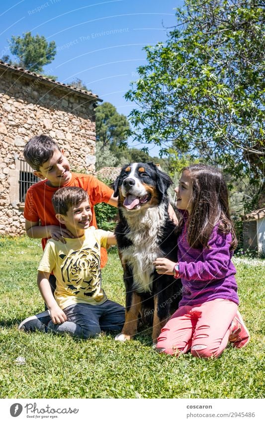 Three little kids with a Bernese dog Lifestyle Joy Happy Beautiful Leisure and hobbies Playing Summer Garden Child Human being Toddler Girl Boy (child) Woman