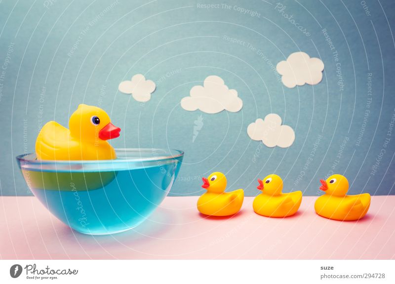 Squeaky fun Design Joy Swimming & Bathing Leisure and hobbies Playing Handicraft Infancy Water Sky Clouds Paper Toys Squeak duck Friendliness Happiness Kitsch