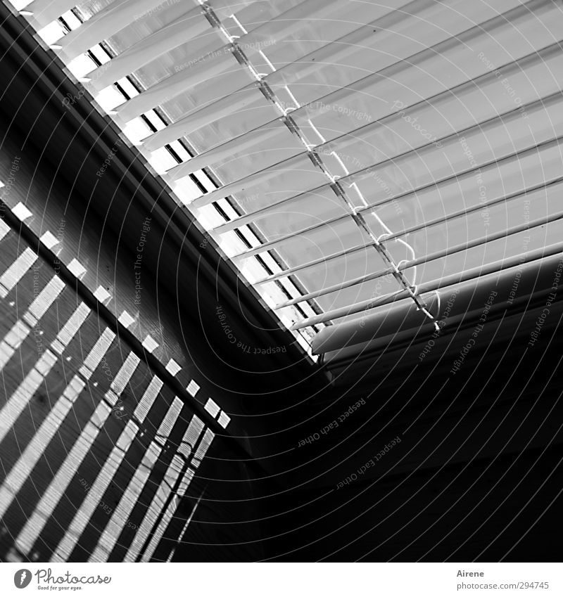 barcode Venetian blinds Skylight Stripe Pitch of the roof Shadow Sunlight Scanner Information Technology Window Roof open roof truss Sharp-edged Black White