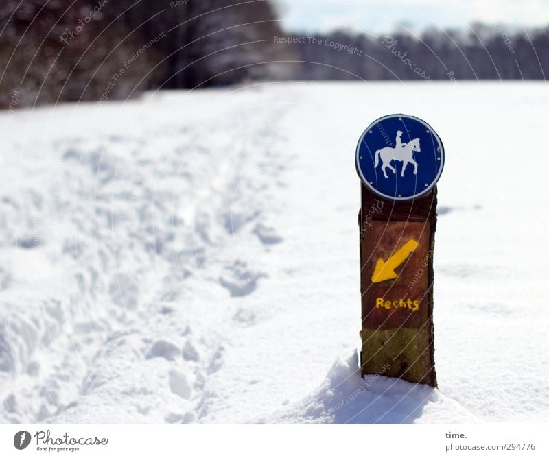 Ways & Paths | No Bearing Winter Beautiful weather Snow Forest Sign Characters Signs and labeling Cold Funny Crazy High spirits Popular belief False Discover