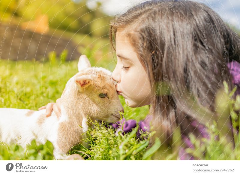 Little girl kissing a goat. Close up Lifestyle Happy Beautiful Relaxation Calm Leisure and hobbies Playing Vacation & Travel Summer Summer vacation Garden Child