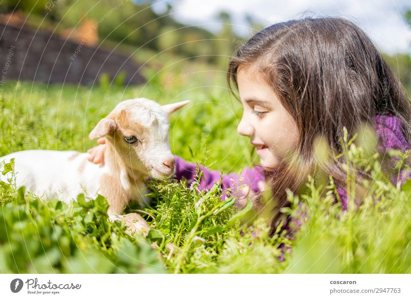 Little girl looking a goat on the grass Lifestyle Happy Beautiful Calm Leisure and hobbies Playing Vacation & Travel Summer Summer vacation Garden Child