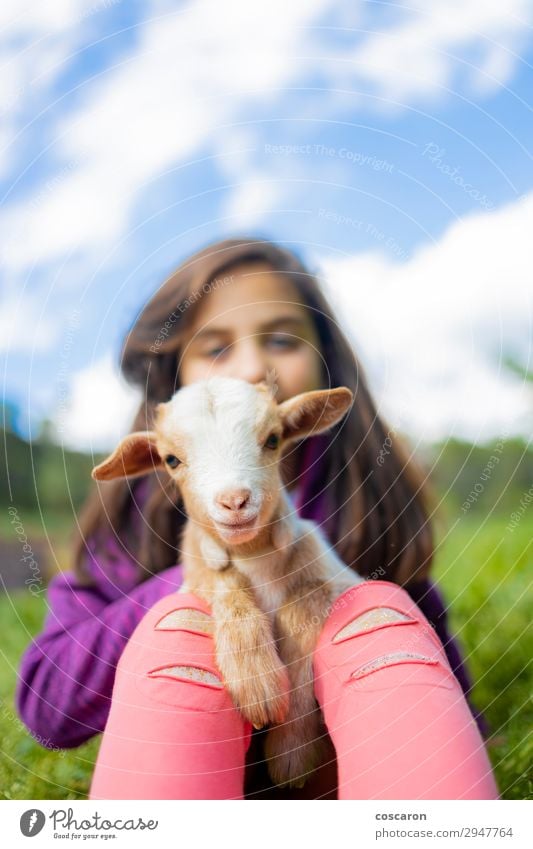 Little girl hugging a goat on a field Lifestyle Happy Beautiful Leisure and hobbies Playing Summer Summer vacation Garden Child Human being Feminine Toddler