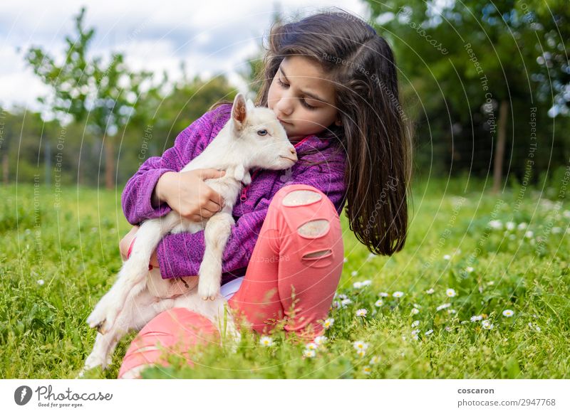 Little girl hugging a goat on a field Lifestyle Happy Beautiful Leisure and hobbies Playing Summer Garden Child Apprentice Human being Feminine Baby Toddler
