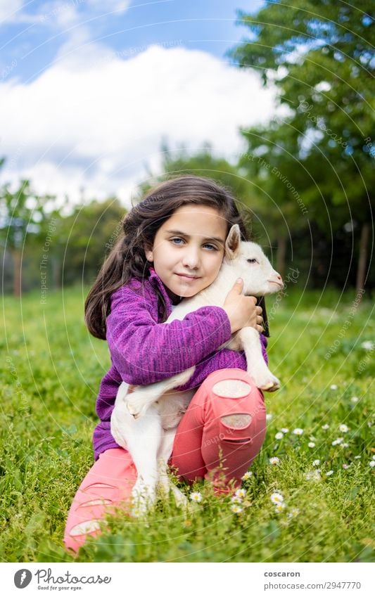 Little girl hugging a goat on a field Lifestyle Happy Beautiful Leisure and hobbies Playing Summer Summer vacation Garden Child Human being Baby Toddler Girl
