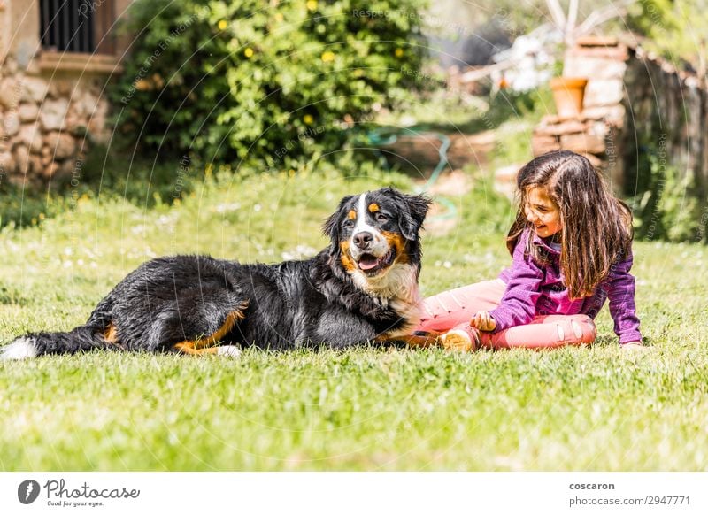 Little girl with a Bernese mountain dog Lifestyle Joy Happy Leisure and hobbies Playing Summer Mountain Garden Child Human being Feminine Toddler Girl