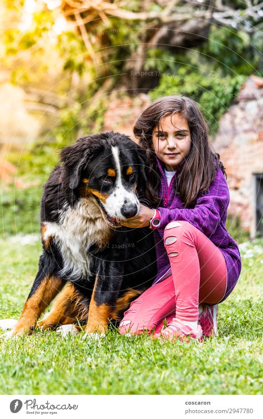 Little girl with a Bernese mountain dog Lifestyle Joy Happy Beautiful Leisure and hobbies Playing Vacation & Travel Summer Summer vacation Mountain Garden Child