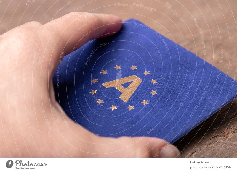 European Economy Business Hand Fingers Sign Utilize To hold on Blue Austria Star (Symbol) European flag Sheath Border Infinity Driver's license Colour photo