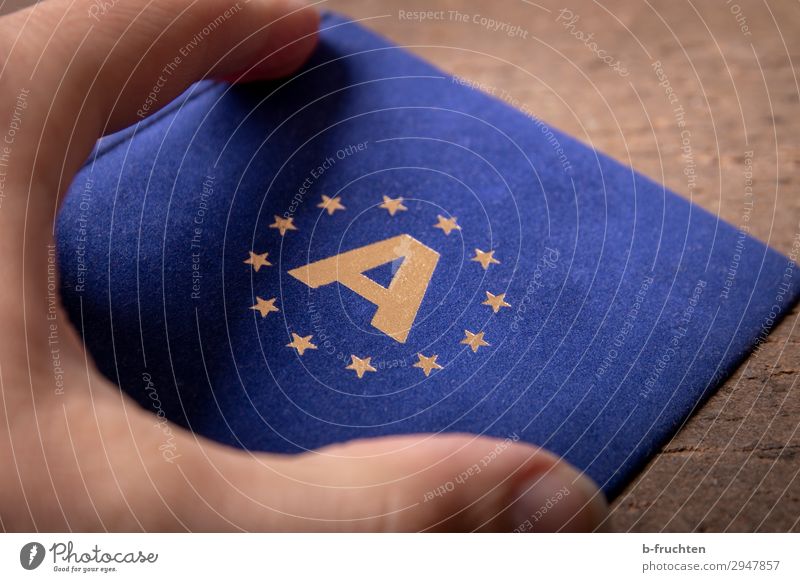 European Economy Trade Business Team Fingers Sign Select Utilize To hold on Free Together Blue Gold Solidarity Society Future European flag Attachment Austria