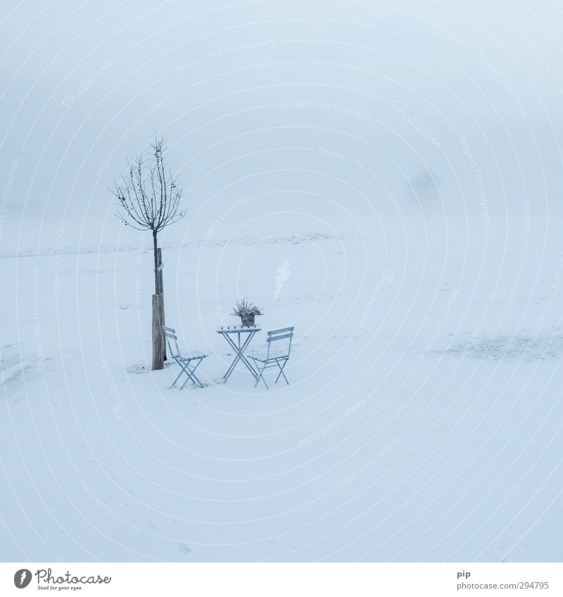 beginning of spring without beginning Environment Nature Landscape Horizon Spring Winter Climate change Bad weather Ice Frost Snow Tree Meadow Cold Chair Table