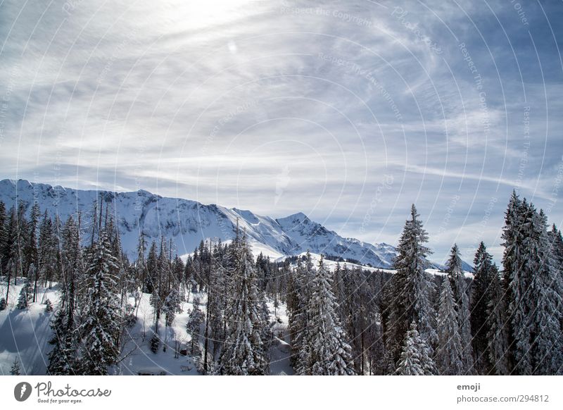 winter landscape Environment Nature Landscape Winter Beautiful weather Snow Forest Alps Mountain Cold Natural Blue White Colour photo Exterior shot Deserted Day