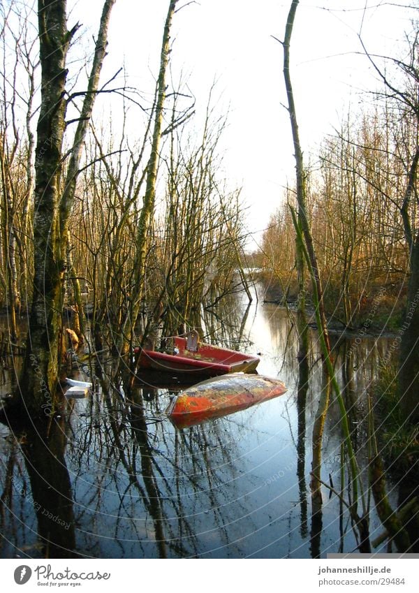 broken boat Lake Watercraft Ocean Rowboat Tree River