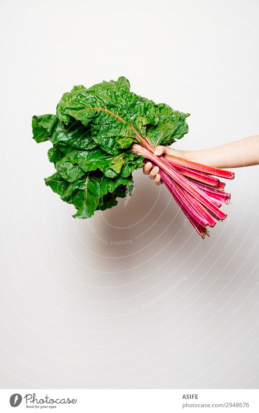 Arm of a girl holding a bunch of swiss chard Vegetable Nutrition Vegetarian diet Beautiful Child Woman Adults Hand Leaf Fresh Green Red White rainbow chard
