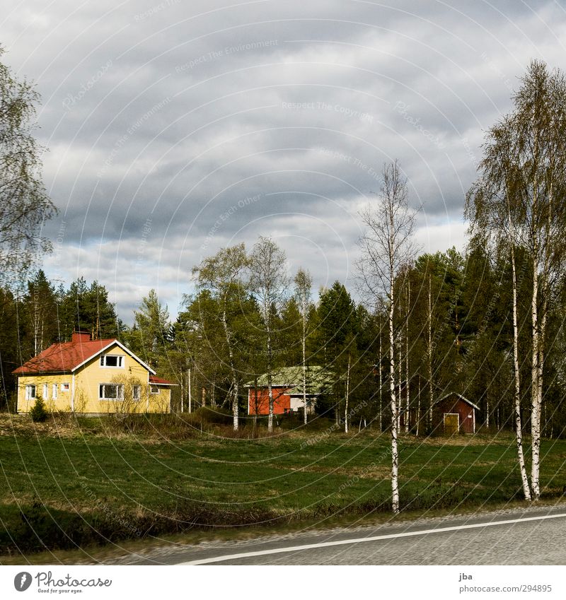 Finland Flat (apartment) House (Residential Structure) Nature Plant Clouds Spring Bad weather Tree Grass Birch tree Forest Detached house Facade Roof Street