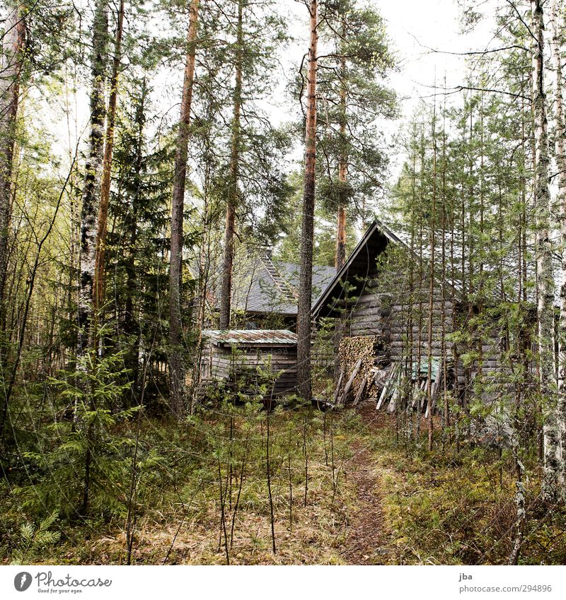 The hut Relaxation Calm Vacation & Travel Summer Hiking House (Residential Structure) Nature Plant Spring Tree Bushes Moss Forest Finland Hut Vacation home
