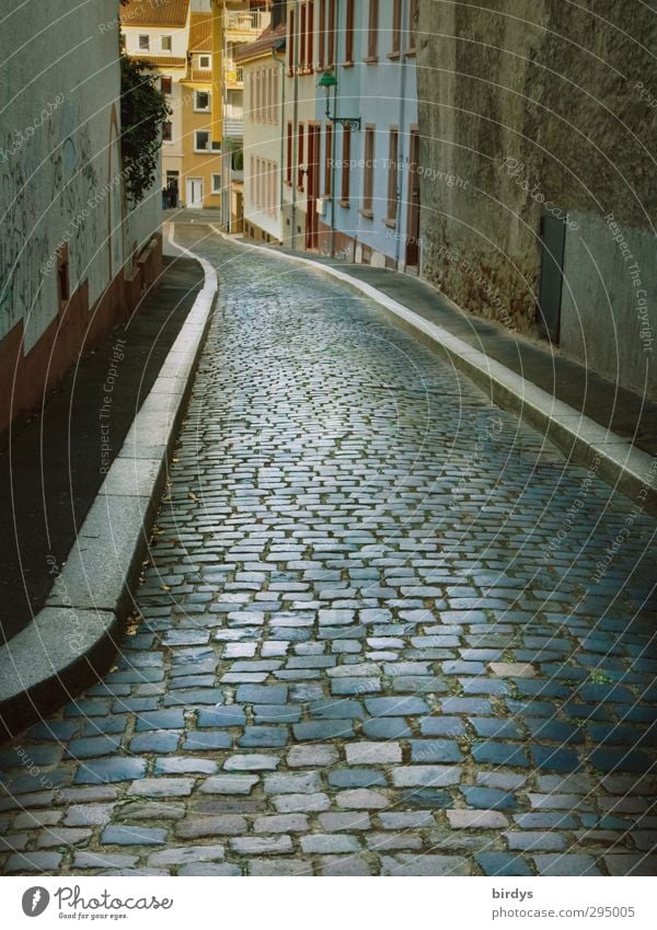 Down the alley Old town Deserted Alley Cobblestones Esthetic Authentic Town Perspective Lanes & trails Worms Colour photo Exterior shot Day